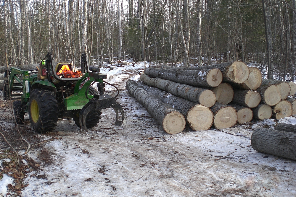 logging