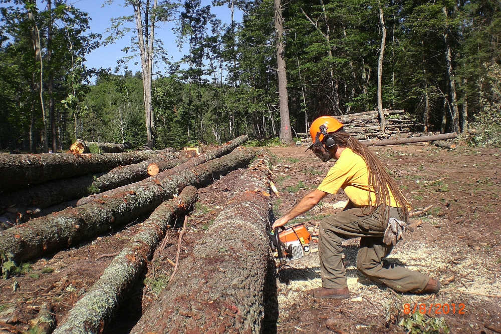 treeservice